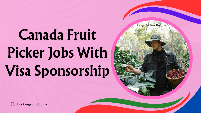 Fruit Picker Jobs In Canada
