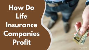 How Do Life Insurance Companies Profit